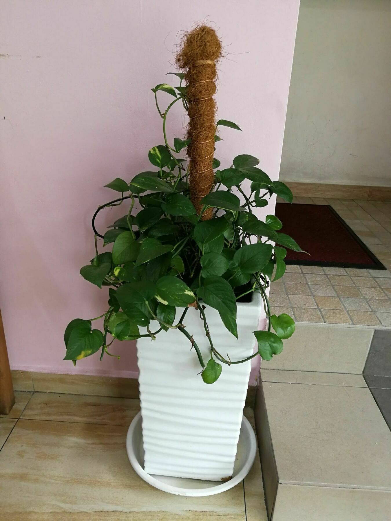 Oyo 172 Spring Hotel Kuala Lumpur Zewnętrze zdjęcie